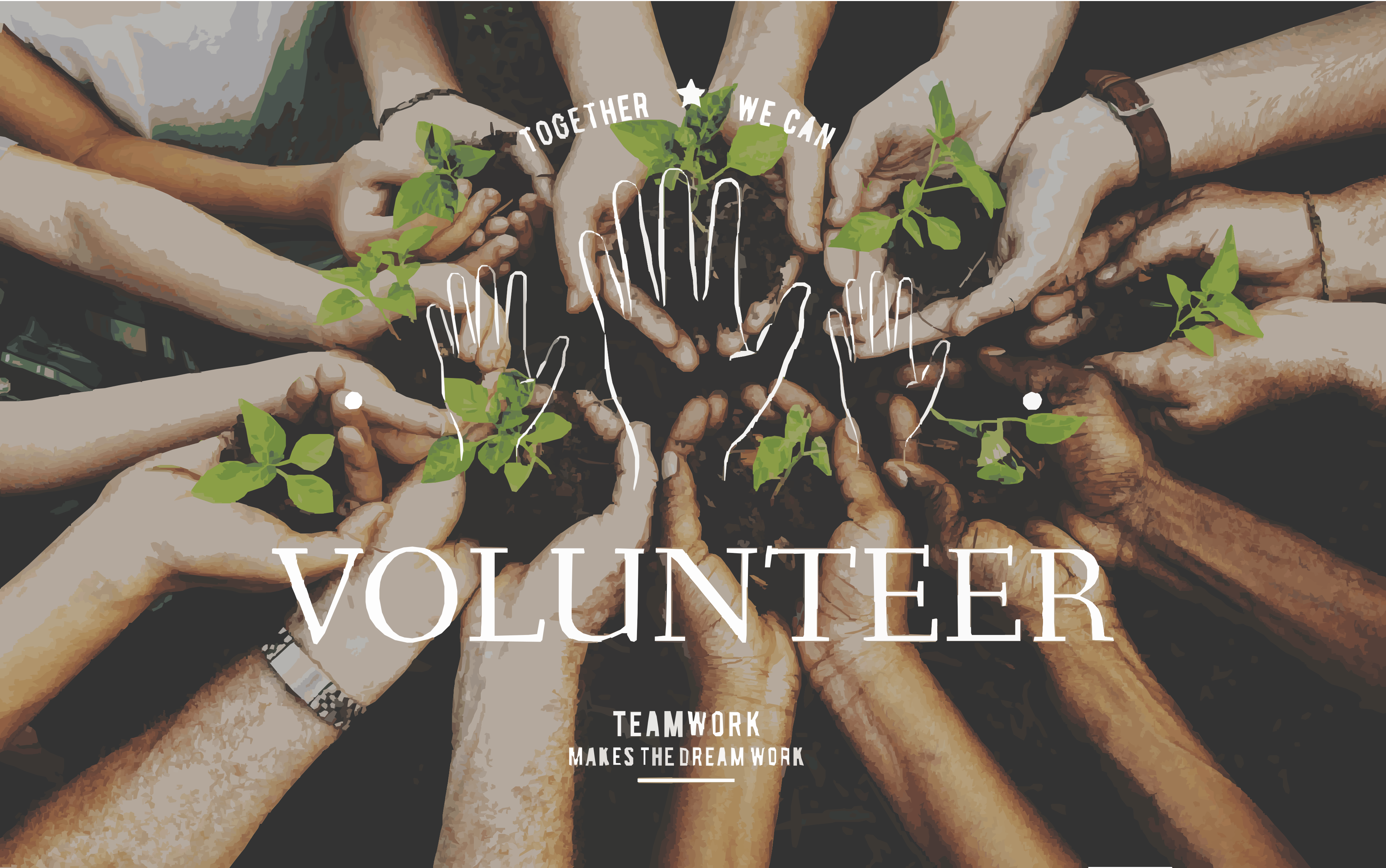 volunteer